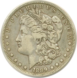 image for: Top 100 VAM: 1889-O $1 VAM 6 Doubled Date ANACS VF30