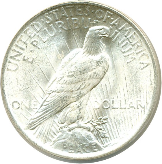 image for: 1923 $1 VAM 1V  Extra Hair ANACS MS63 