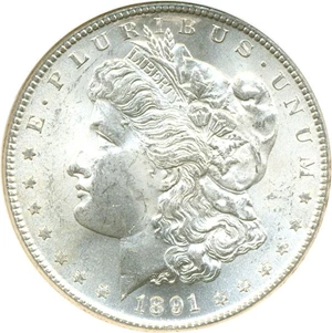 image for: 1891-S $1 NGC MS64