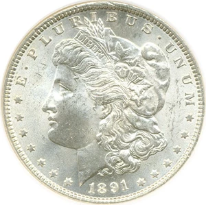 image for: 1891 $1 NGC MS64