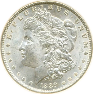 image for: 1889 $1 NGC MS64