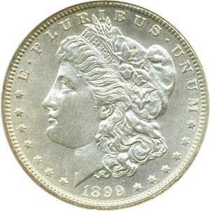 image for: 1899 $1 DGS MS62 (Lightly Cleaned)