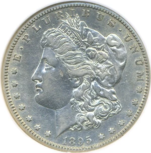 image for: 1895-S $1 DGS XF45 (Cleaned)