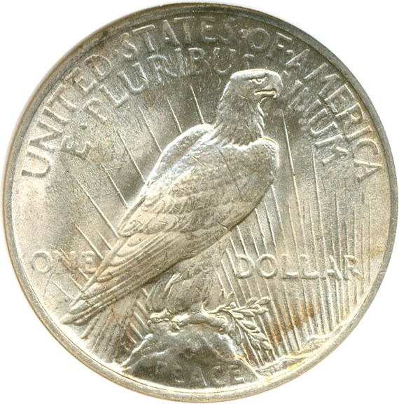 image for: Top 50 VAM: 1922 $1 VAM 6  Doubled Leaves NGC MS63 