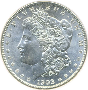 image for: 1903-O $1 DGS MS64