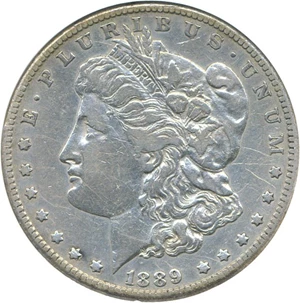 image for: 1889-CC $1 DGS XF40 (Cleaned, Scratched)