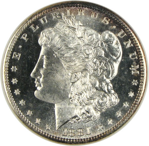 image for: 1881-S $1  NGC MS66 DMPL
