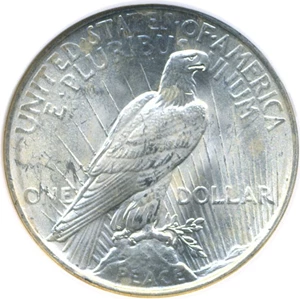 image for: Top 50 VAM: 1922 $1 VAM 5 TDR Leaves NGC MS63