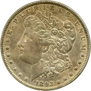 image for: 1893 $1 DGS XF45 (Lightly Cleaned)