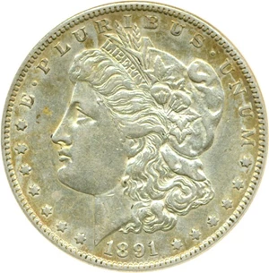 image for: Top 100 VAM: 1891-S $1 VAM 3 Doubled Stars AU Details ANACS Net XF45 (Cleaned)
