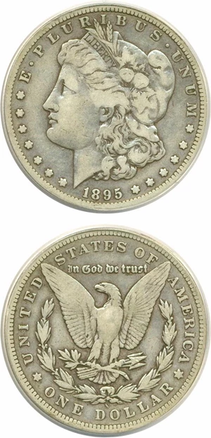 image for: Top 100 VAM: 1895-S $1 VAM 4 S/Horizontal S ANACS F12