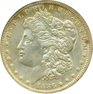 image for: Top 100 VAM: 1886-O $1 VAM 1A E Rev AU Details ANACS Net XF40 (Cleaned)