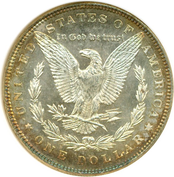 image for: 1884 $1  NGC MS64 DMPL