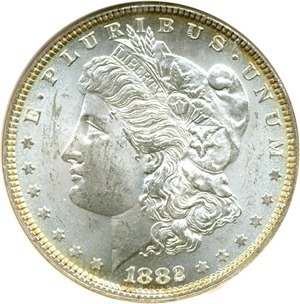 image for: 1882 $1 NGC MS64