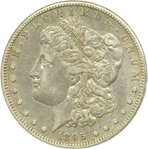 image for: 1895-S $1 DGS VF35 (Cleaned)