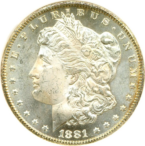 image for: 1881-CC $1  NGC MS64 PL