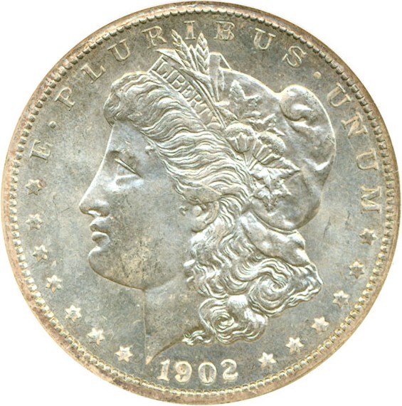 image for: 1902-O $1  NGC MS64 PL