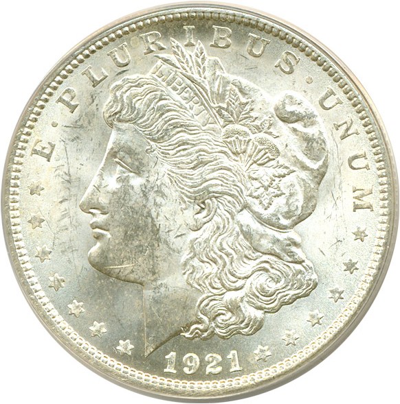 LOT海老？ 1921 Morgan Dollar Pitted Reverse VAM 41A Mint State (MS