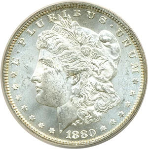 image for: Hot 50 VAM: 1880 $1 VAM 11 Checkmark ANACS MS63