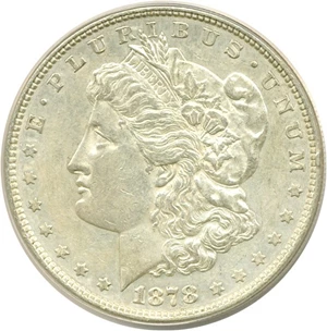 image for: 1878 8TF $1 VAM 14 Chip in Ear ANACS AU50 Details (Cleaned)