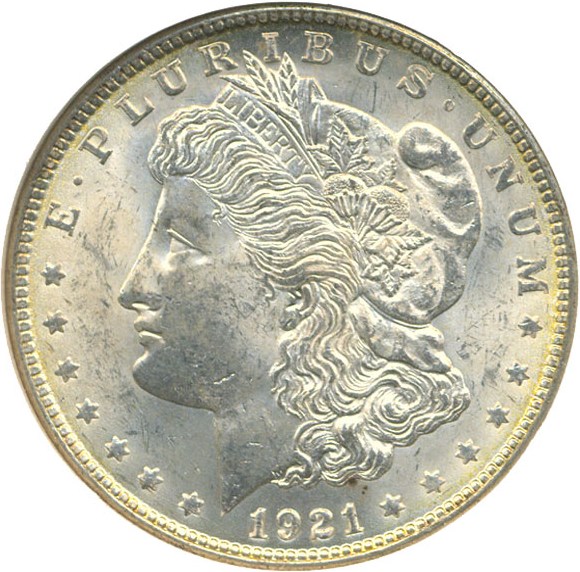image for: Hot 50 VAM: 1921 $1 Morgan VAM 1E Pitted Rev NGC MS62