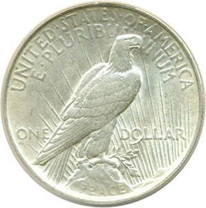 image for: Top 50 VAM: 1923 $1 VAM 1C Tail on O ANACS AU53 - Details (LDS, Cleaned)