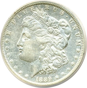 image for: Top 100 VAM: 1889-O $1 VAM-2A ANACS XF45 Details (Scratched, Cleaned)