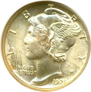 image for: 1929 10c DGS MS65