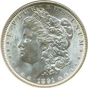 image for: 1891 $1 NGC MS64