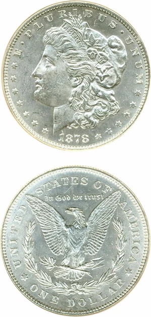 image for: Top 100 VAM: 1878 7/8TF $1 Rev.78, Double Talons, VAM-45 DGS MS63 (Lightly Cleaned)