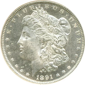 image for: 1891 $1 NGC MS64 DMPL