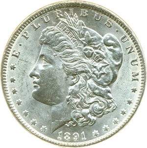 image for: 1891 $1 DGS MS60 (Lightly Cleaned)