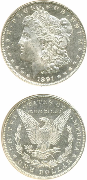 image for: 1891 $1 NGC MS64 DMPL