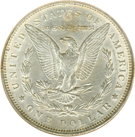 image for: Top 100 VAM: 1891 $1 VAM 2  Doubled Ear DGS AU55  (Lightly Cleaned, Environmental Damage)