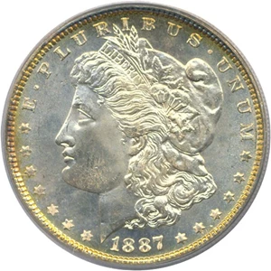 image for: Top 100 VAM: 1887 $1 VAM 12 Alligator Eye PCGS MS65