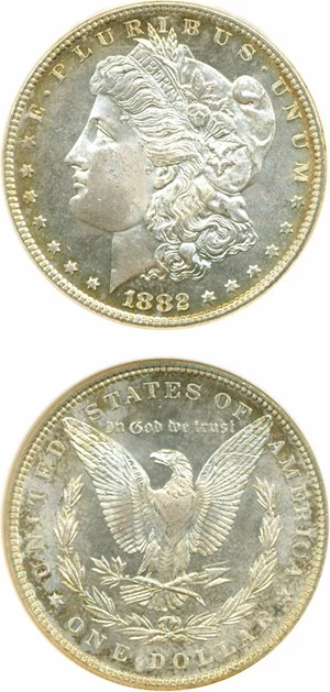 image for: 1882 $1 NGC MS65 DMPL