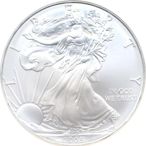 image for: 2008 $1 Silver Eagle NGC MS69