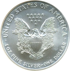 image for: 1999 $1 Silver Eagle NGC MS69