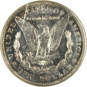 image for: 1921-D $1 NGC MS64 DMPL
