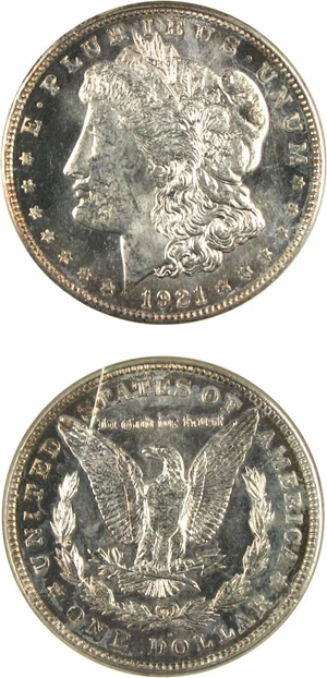 image for: 1921-D $1 NGC MS64 DMPL