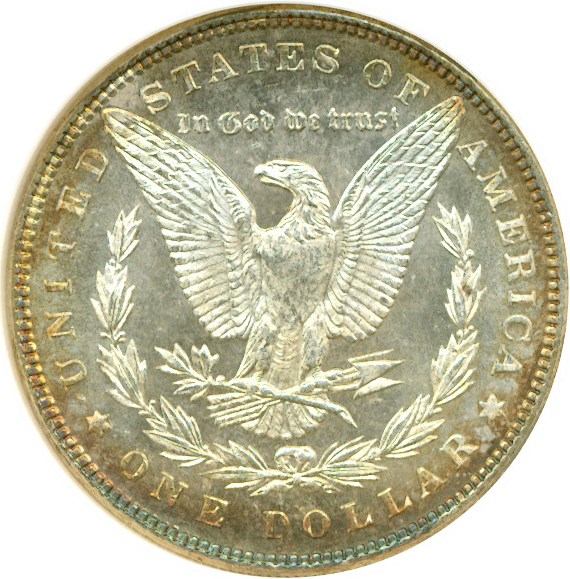 image for: 1884 $1  NGC MS64 DMPL