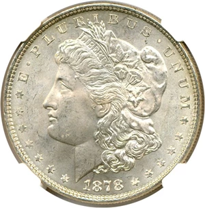 image for: 1878 8TF $1 VAM 14.2 Polished Ear NGC MS65