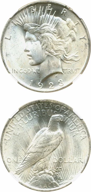 image for: Top 50 VAM: 1923 $1 NGC MS65 (VAM 1B Extra Hair)