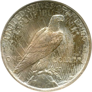 image for: Top 50 VAM: 1922 $1 NGC MS64 (VAM 5 Tripled Leaves)