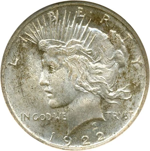 image for: Top 50 VAM: 1922 $1 NGC MS64 (VAM 5 Tripled Leaves)