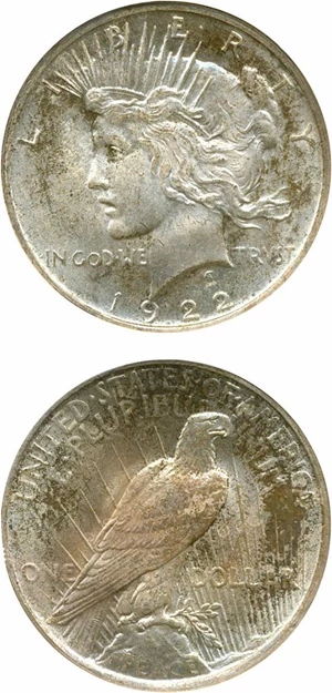 image for: Top 50 VAM: 1922 $1 NGC MS64 (VAM 5 Tripled Leaves)