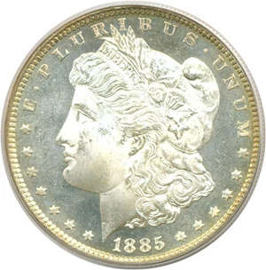image for: 1885 $1 VAM 14 Wild Hair PCGS MS65 DMPL OGH