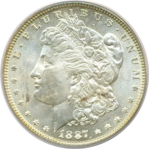 image for: Top 100 VAM: 1887 $1 VAM 12 Alligator Eye PCGS MS63