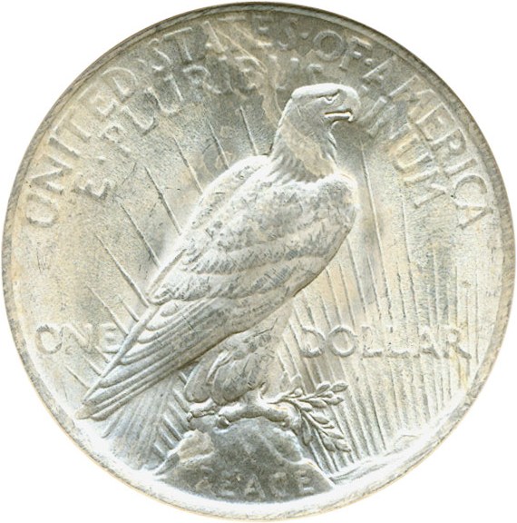 image for: Top 50 VAM: 1922 $1 NGC MS63 (VAM 7B  Doubled Wing)
