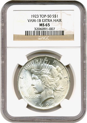 image for: Top 50 VAM: 1923 $1 NGC MS65 (VAM 1B Extra Hair)